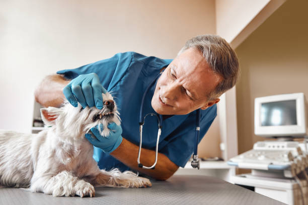 Best Dentist for Tooth Abscess  in Pensacola, FL