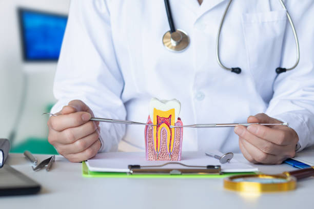 Best Chipped Tooth Repair Near Me  in Pensacola, FL